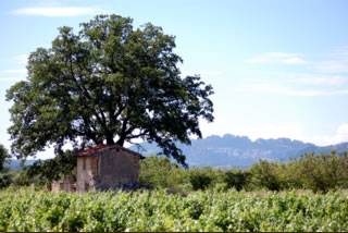 Cabanon et les Dentelles